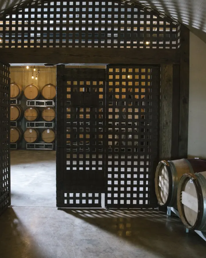 Cellar Tour